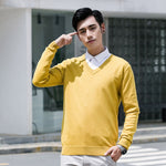 3XL Men's Sweater Cashmere Blended Knitted V-neck Pullover Hot Selling Fall Winter Men's Wool Knitted Sweater High Quality Warm